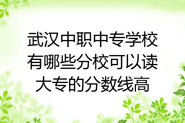 武汉中职中专学校有哪些分校可以读大专的分数线高
