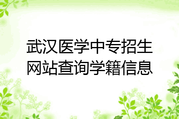 武汉医学中专招生网站查询学籍信息