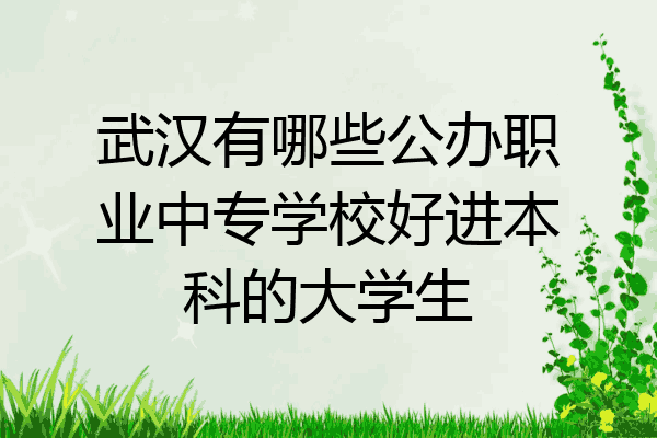 武汉有哪些公办职业中专学校好进本科的大学生