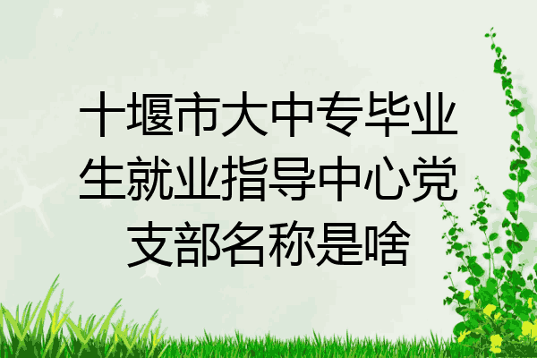 十堰市大中专毕业生就业指导中心党支部名称是啥