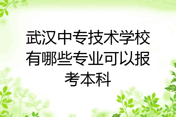 武汉中专技术学校有哪些专业可以报考本科