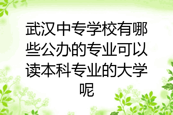 武汉中专学校有哪些公办的专业可以读本科专业的大学呢