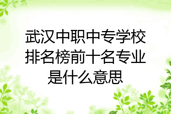 武汉中职中专学校排名榜前十名专业是什么意思