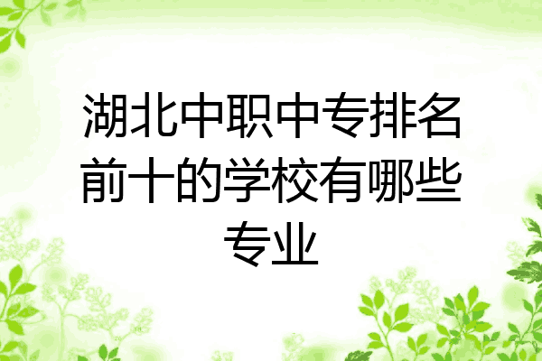 湖北中职中专排名前十的学校有哪些专业