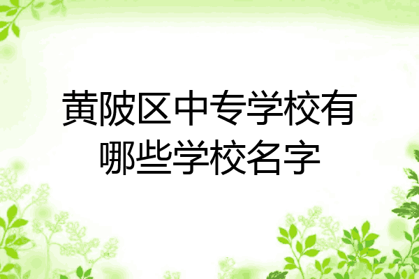 黄陂区中专学校有哪些学校名字