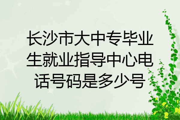 长沙市大中专毕业生就业指导中心电话号码是多少号