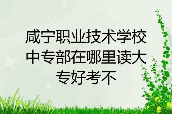 咸宁职业技术学校中专部在哪里读大专好考不
