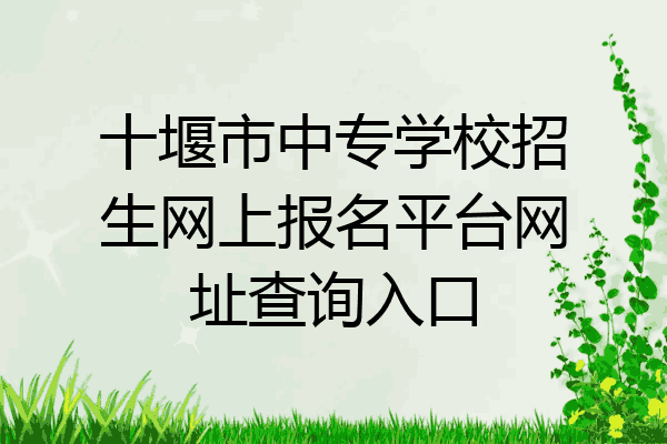 十堰市中专学校招生网上报名平台网址查询入口