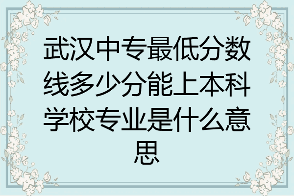 武汉中专最低分数线多少分能上本科学校专业是什么意思