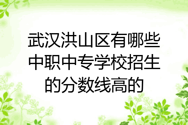 武汉洪山区有哪些中职中专学校招生的分数线高的