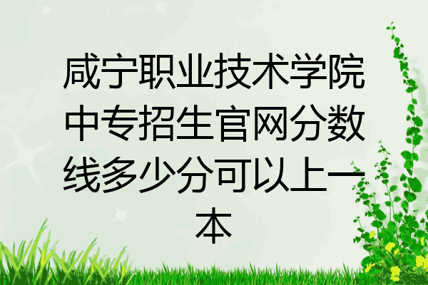 咸宁职业技术学院中专招生官网分数线多少分可以上一本