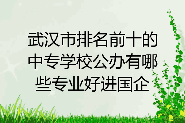 武汉市排名前十的中专学校公办有哪些专业好进国企