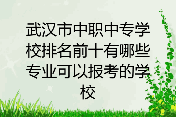 武汉市中职中专学校排名前十有哪些专业可以报考的学校
