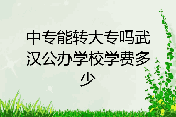中专能转大专吗武汉公办学校学费多少