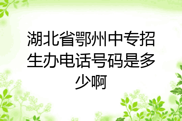 湖北省鄂州中专招生办电话号码是多少啊