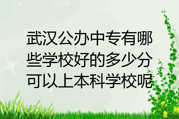 武汉公办中专有哪些学校好的多少分可以上本科学校呢