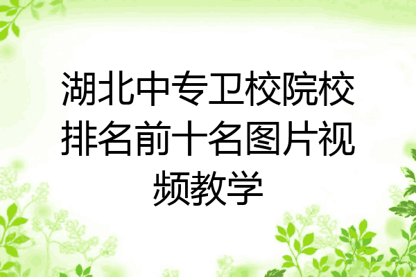 湖北中专卫校院校排名前十名图片视频教学