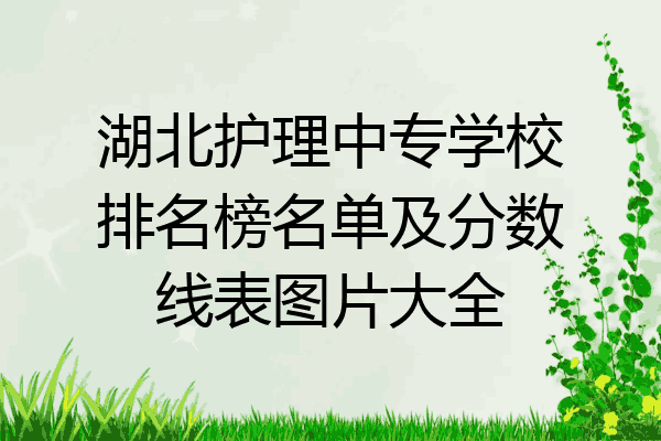 湖北护理中专学校排名榜名单及分数线表图片大全