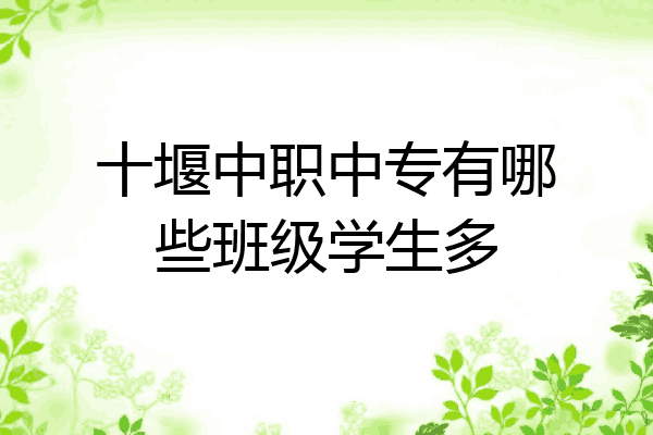 十堰中职中专有哪些班级学生多
