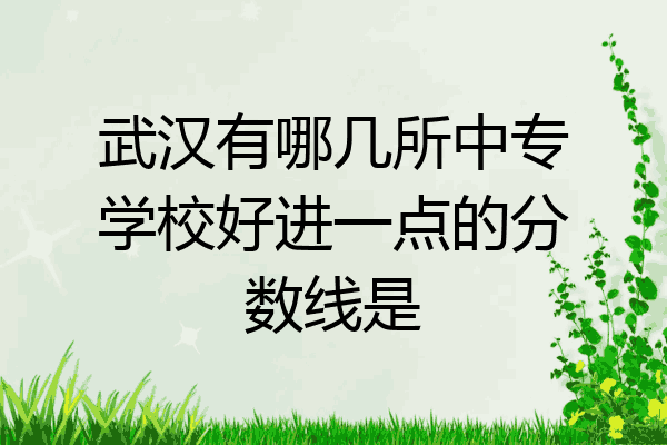 武汉有哪几所中专学校好进一点的分数线是