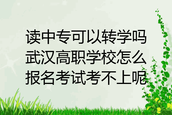 读中专可以转学吗武汉高职学校怎么报名考试考不上呢