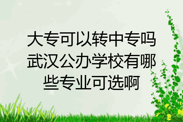 大专可以转中专吗武汉公办学校有哪些专业可选啊