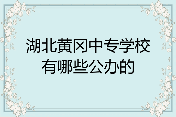 湖北黄冈中专学校有哪些公办的