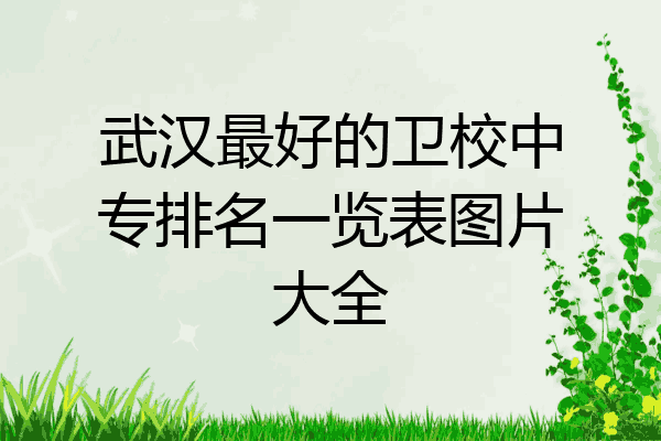武汉最好的卫校中专排名一览表图片大全
