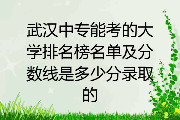 武汉中专能考的大学排名榜名单及分数线是多少分录取的