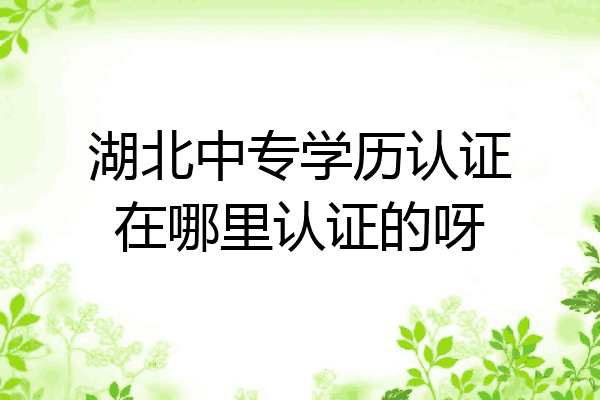 湖北中专学历认证在哪里认证的呀