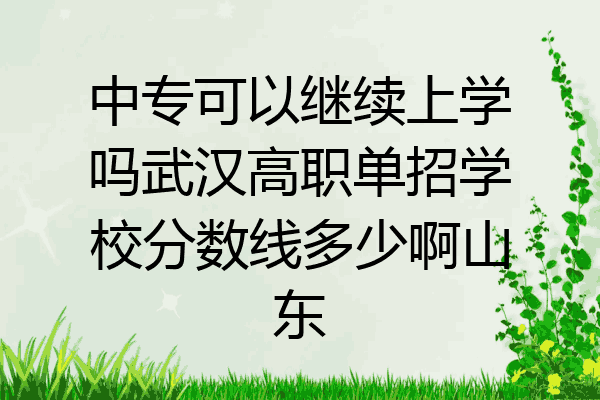 中专可以继续上学吗武汉高职单招学校分数线多少啊山东