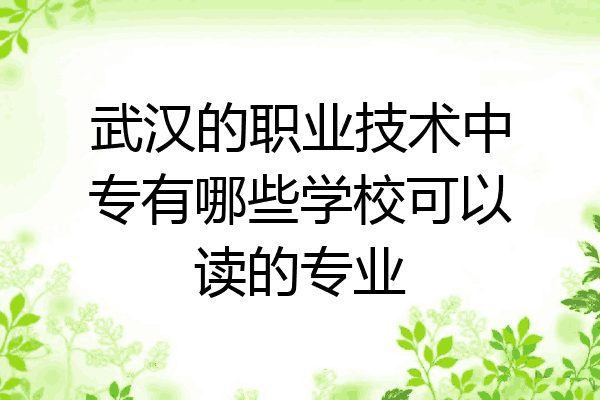 武汉的职业技术中专有哪些学校可以读的专业