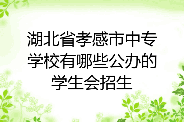 湖北省孝感市中专学校有哪些公办的学生会招生