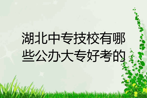 湖北中专技校有哪些公办大专好考的