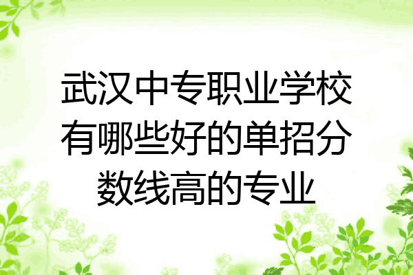武汉中专职业学校有哪些好的单招分数线高的专业