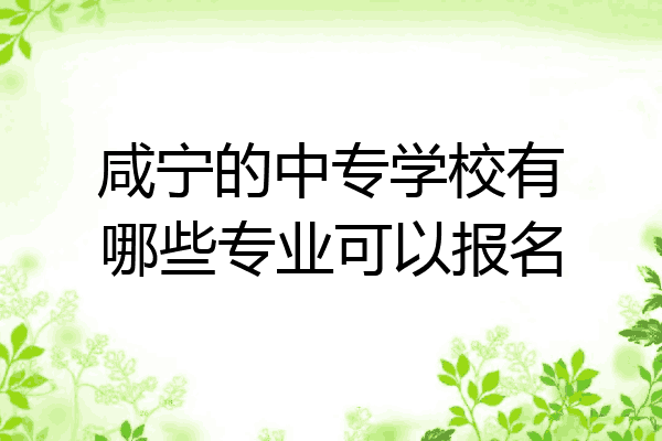 咸宁的中专学校有哪些专业可以报名