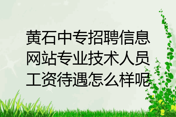 黄石中专招聘信息网站专业技术人员工资待遇怎么样呢
