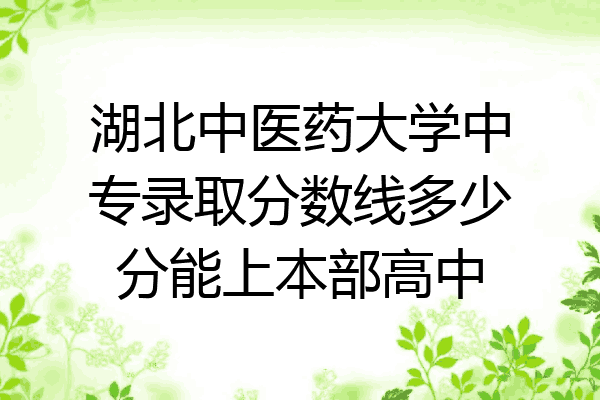湖北中医药大学中专录取分数线多少分能上本部高中