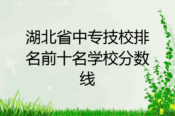 湖北省中专技校排名前十名学校分数线