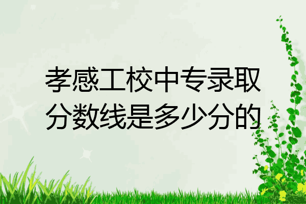 孝感工校中专录取分数线是多少分的