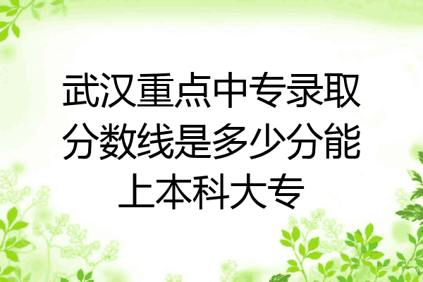 武汉重点中专录取分数线是多少分能上本科大专