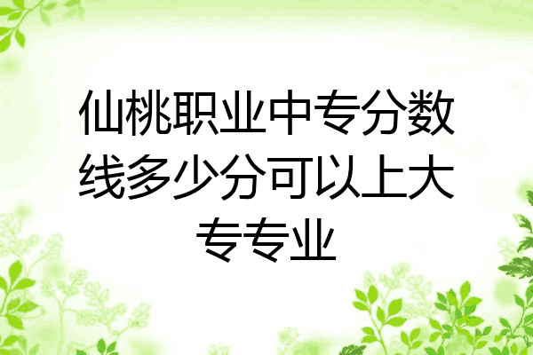 仙桃职业中专分数线多少分可以上大专专业