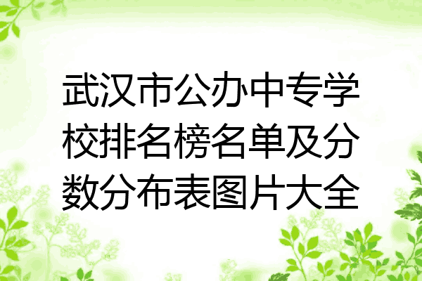 武汉市公办中专学校排名榜名单及分数分布表图片大全