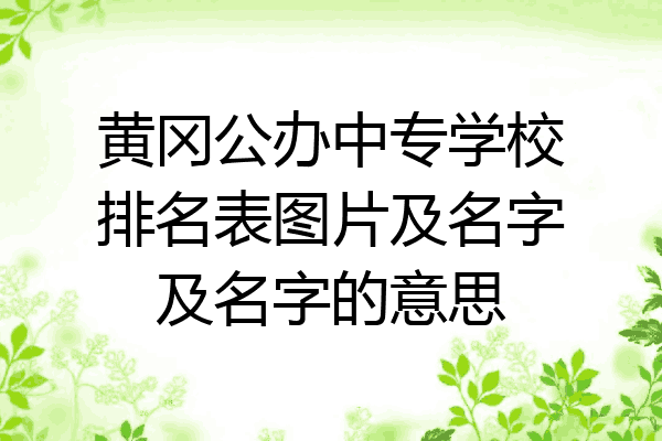 黄冈公办中专学校排名表图片及名字及名字的意思
