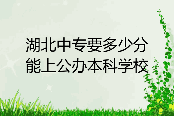 湖北中专要多少分能上公办本科学校