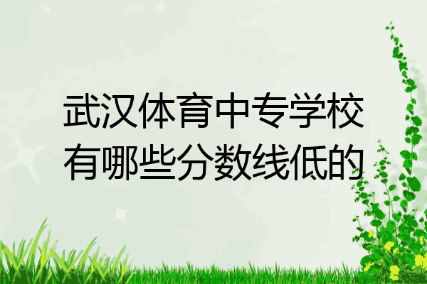 武汉体育中专学校有哪些分数线低的