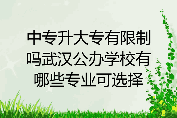 中专升大专有限制吗武汉公办学校有哪些专业可选择
