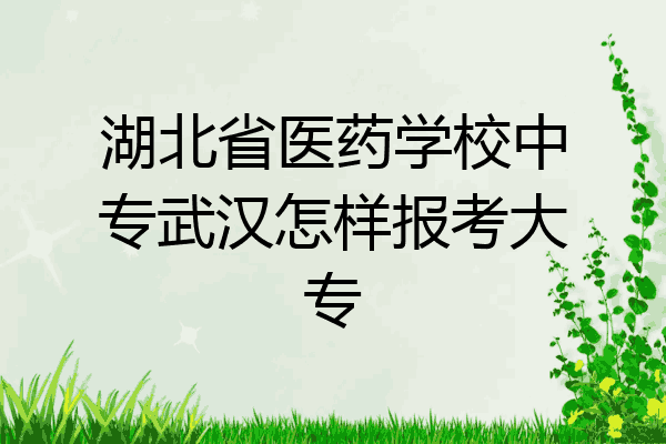 湖北省医药学校中专武汉怎样报考大专