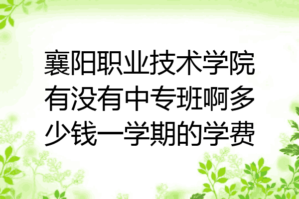 襄阳职业技术学院有没有中专班啊多少钱一学期的学费