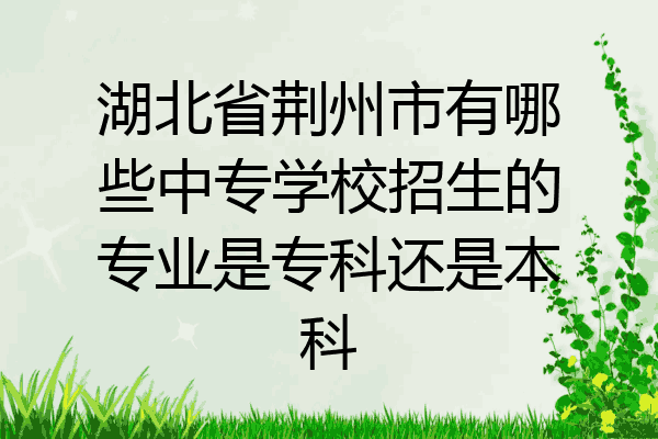 湖北省荆州市有哪些中专学校招生的专业是专科还是本科